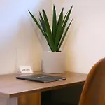 Expat Renting - Le Tropical - Netflix - Proche Gare Appartement