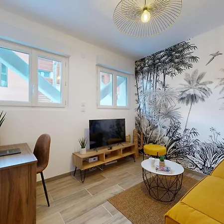 Apartman Expat Renting - Le Tropical - Netflix - Proche Gare Toulouse