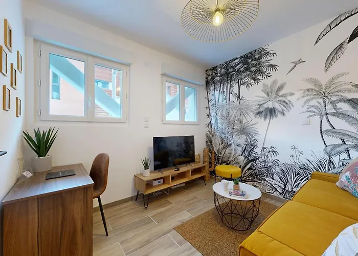 Apartment Expat Renting - Le Tropical - Netflix - Proche Gare Toulouse